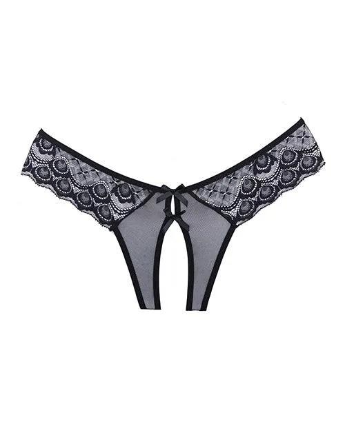 Adore Foreplay Lace & Mesh Front Open Panty Black (One-Size)