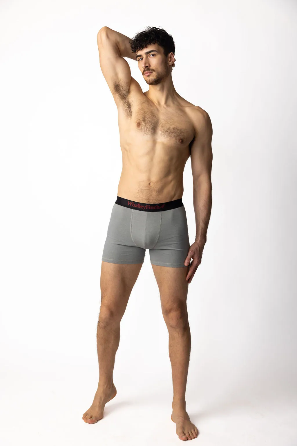 Denman Grey Boxer Brief