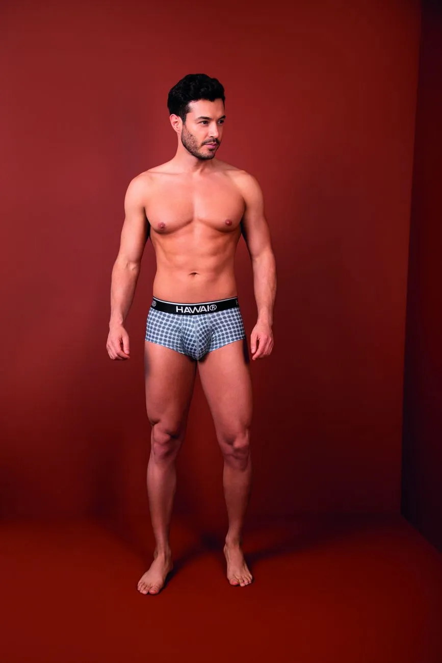 HAWAI 42430 Printed Briefs Color Gray