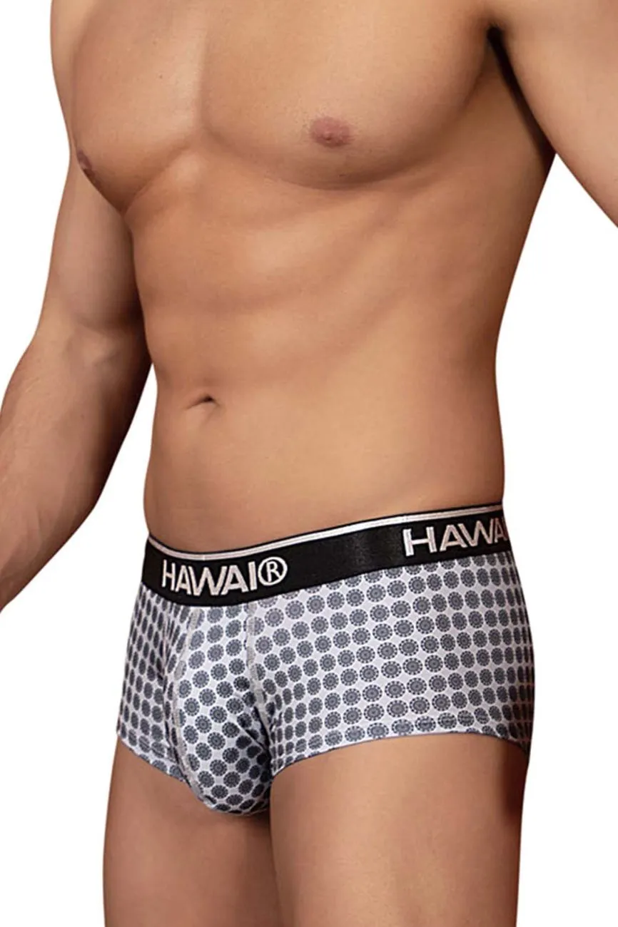 HAWAI 42430 Printed Briefs Color Gray