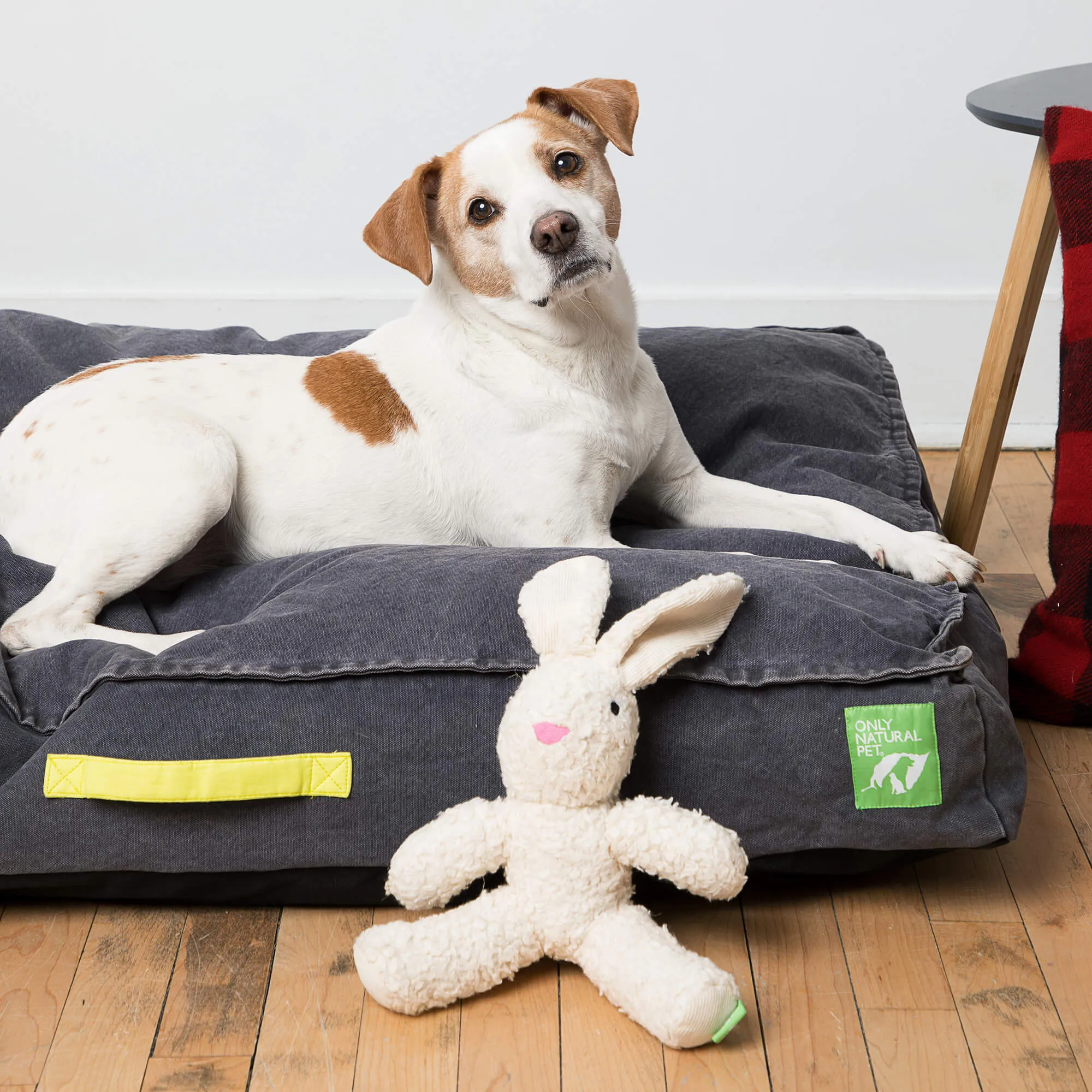 Only Natural Pet Eco-Friendly Organic Canvas Beds